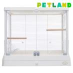  bird pa отсутствует прозрачный жизнь 65W белый ( 1 шт. )/ Mini maru Land 