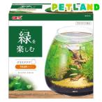 ガラス水槽