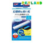 照明、ライト本体(水槽、アクアリウム用品)