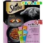 猫用ドライフード