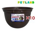 メダカ元気メダカのための飼育鉢こげ...