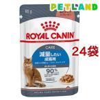 ロイヤルカナン フィーライン ケア ニュートリション ウェット ライト ウェイト ケア ( 85g*24袋セット )/ ロイヤルカナン(ROYAL CANIN)