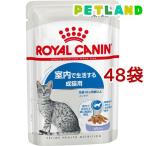 猫缶、ウエットフード