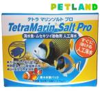 その他熱帯魚、アクアリウム用品