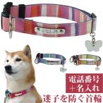 迷子札 犬 首輪 名前入り かわいい 洗える マルチボーダーID カラー サイズL 首囲35-53cm 名前と連絡先(電話番号)のプレートを固定した 国産  犬用首輪 birdie