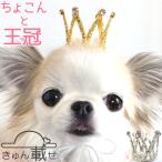  собака кошка головной убор головной убор .. Crown ... разместить на шляпа резина шнурок аксессуары украшение день рождения день рождения подарок фотография фотосъемка симпатичный маленький размер собака шпилька 