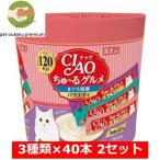 CIAO ちゅ〜る 120本入り ×2セット ち