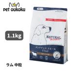 ナチュラルハーベスト メンテナンス スモール ラム 1.1kg 中粒 犬用 4521254012282
