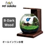 GEX グラスアクア PERCO B-Dark Wood オールインワン水槽ペルコ アクアリウム ジェックス 4972547044303