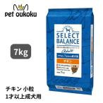 ショッピングとうもろこし ボーナスストア10%！ セレクトバランス アダルトチキン 小粒 1才以上の成犬用 7kg