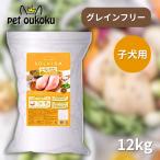 ソルビダグレインフリーチキン室内飼...