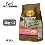 ニュートロ キャット ワイルドレシピ アダルト チキン 成猫用 2kg ×2個 キャットフード 4902397845751