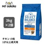 セレクトバランス アダルト チキン 1才以上の成犬用 小粒 3kg ×2個セット ドッグフード