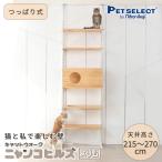 petselect(公式)キャットウォーク ニャ