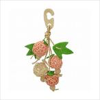  три . натуральный вешалка фрукты маленькая птица для игрушка 