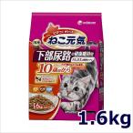 猫用ドライフード
