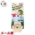 [ почтовая доставка ]sdo-krukru.. rin ga-