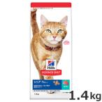 猫用ドライフード