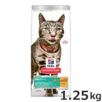 猫用おやつ