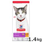 猫用ドライフード