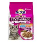 猫用ドライフード