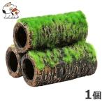 GEX 土管 M シェルター 水槽用品 レイアウト