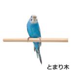 CASA маленькая птица. развлечение место ... дерево 2 шт. входит . маленькая птица для игрушка 