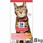 猫用ドライフード