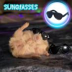 ミニチュアサングラス小動物ハムスタ...