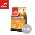 オリジンパピー11.4kg