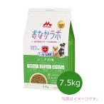 スーパーゴールドおなかラボシニア犬...