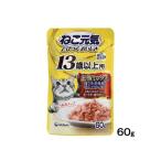 Yahoo! Yahoo!ショッピング(ヤフー ショッピング)【現品限り】ねこ元気　総合栄養食　パウチ　１３歳以上用　お魚ミックス　まぐろ・白身魚・あじ入りかつお　６０ｇ　