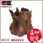 kami - ta Thai производство натуральный коряга tree низ дерево M вид случайный специальная цена товар 