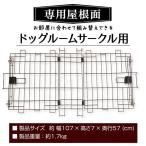 petio специальный крыша поверхность . часть магазин . сопоставив переформирование возможен do клей m Circle для 