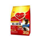ドッグフード　ビューティープロ　ドッグ　歯の健康　１歳から　2.3ｋｇ×4個(ケース販売)