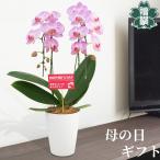 母の日 プレゼント ギフト 胡蝶蘭ピンク4号 陶器鉢 皿付き メッセージカード 洋ラン 洋蘭 40代 50代 60代 70代