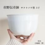 市野伝市鉢 サクラソウ型 5寸 MANOMADE 別注 白 5号 コウロ型 白色 植木鉢 市野伝市窯