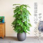 商品画像3