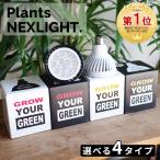 ショッピング観葉植物 PLANTS NEXLIGHT 正規取扱店 ホワイト ブラック プランツ ネクスライト 観葉植物 育成ライト LED 室内ライト プランツネクスライト E26 送料無料 即日出荷