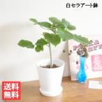 商品画像3