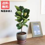 商品画像2