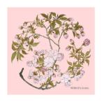 toresi- мир искусство серии Shibata . подлинный 19×19cm A1919P-ZESHIN P794 Sakura 