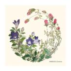 toresi- мир искусство серии Shibata . подлинный 19×19cm A1919P-ZESHIN P301. дерево .*..