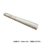  мужской to Ricci diamond 1 мм диаграммная бумага roll секция 420mm×10m 1 шт. 41