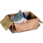  пикколо Cat 82770