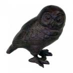  сад животное сова 85440