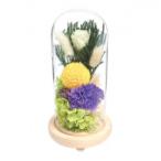  стекло купол аранжировка свет .(...) C30660L