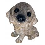  собака орнамент 14522