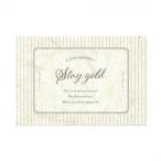 ka The rosola бумага сообщение карта открытка ширина STAYGOLD бежевый 36P101P0506