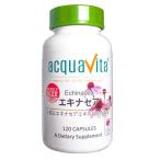  aqua Vita эхинацея Family размер 120 шарик [2 месяц первая декада поступление предположительно ]